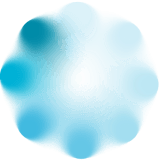 Caregiver Burden Scale icon